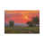 Wrapped Canvas