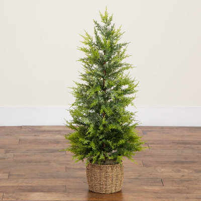 White 3' Pre-Lit Cypress Christmas Tree