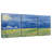 Alvord Wheatfields Under Thunderclouds-106322168