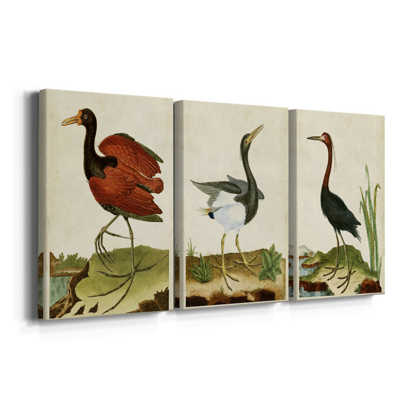 Heron Portrait IV - Toile tendue avec châssis sur mesure - 3 pièces, H 27 po x l 54 po