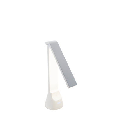 Anashe Desk Lamp