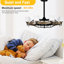 Ventilateur de plafond 32,66