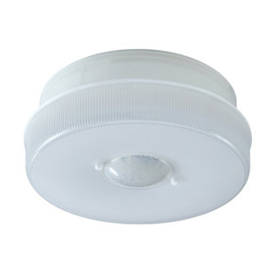Plastic LED Flush Mount