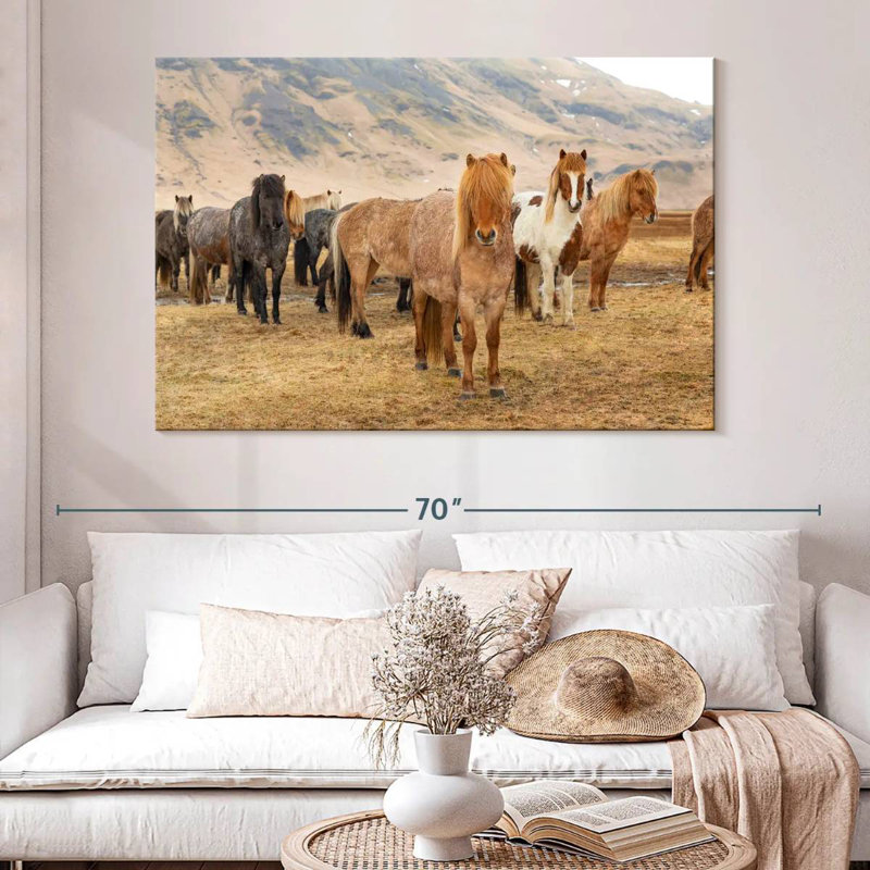 Brampt, chevaux islandais dans la campagne III, H 34 po x l 51 po