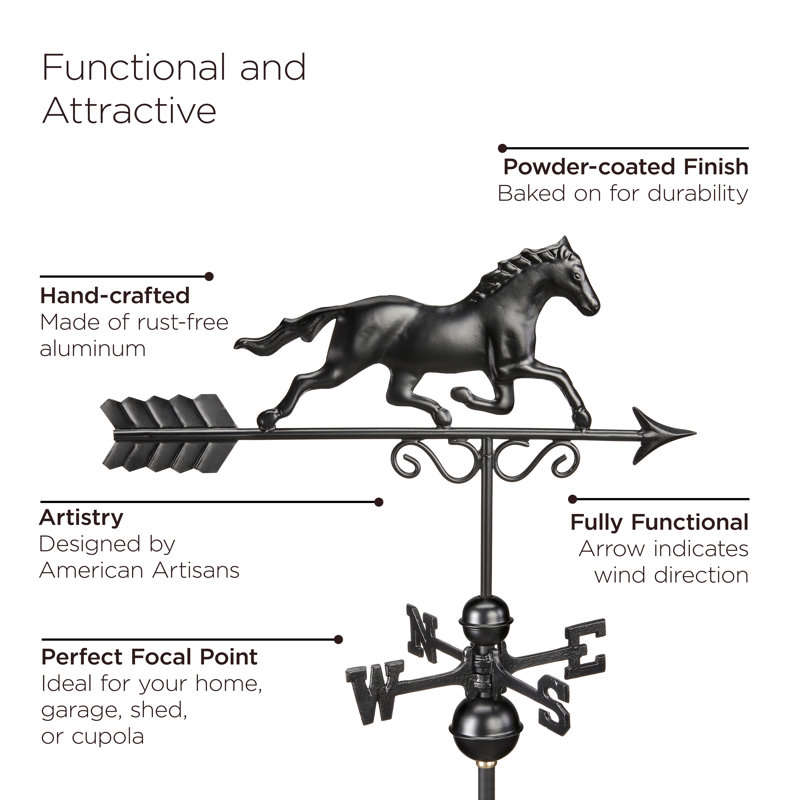 Girouette Muamir au galop