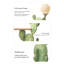 Creative Creative Cactus Moonlight Lamp Strip Tray