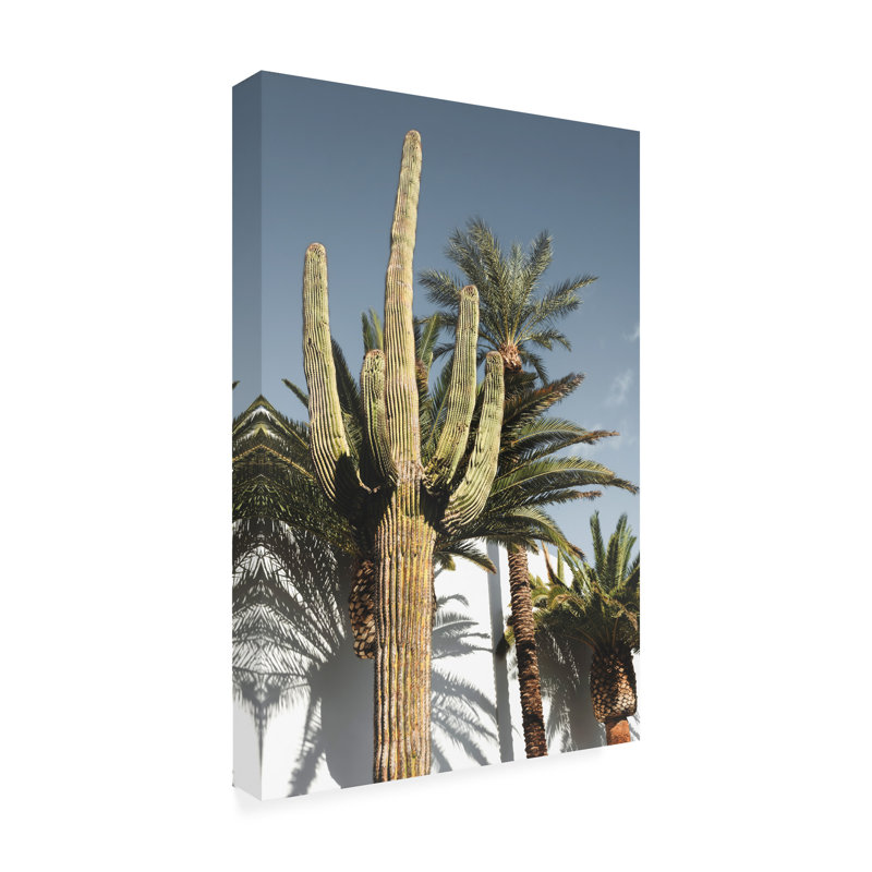 Art sur toile «bolologuf studio III cactus Las Vegas», H 19 po x l 12 po