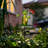 39"H Solar Powered Frog Garden Stake
