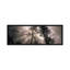 « Panoramic Trees Redwood National Park, California », reproduction de photo sur toile tendue-1267016937-1330606759