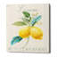 «Floursack Lemon III» par Danhui Nai, art mural sur toile-1346678446