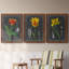 «Midnight Tulip IV», ensemble de 3 peintures sur toile encadrées-1117917248-1117917251