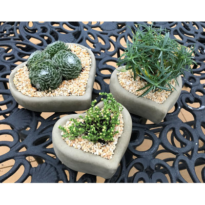 Pieper Handmade Pot Planter