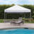 Straight Leg Instant 10 Ft. W x 10 Ft. D Steel Pop-Up Canopy
