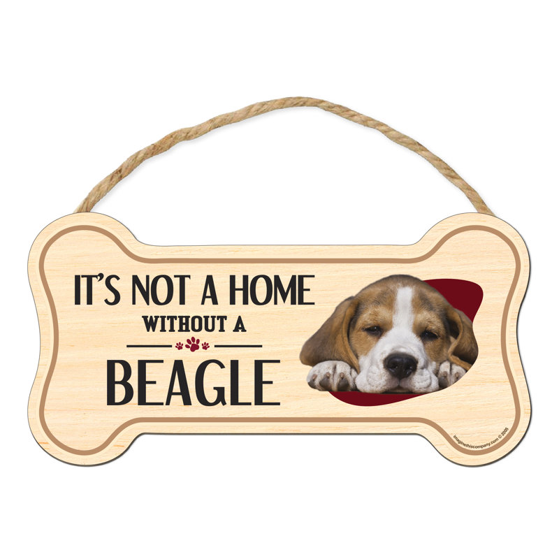 «It's Not a Home sans Our Beagle»