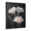 Décoration murale œillets parfumés monochrome noir et blanc II - Œillets-954635211-954635212