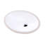 Euro 23.12'' L Bathroom Sink
