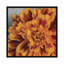 «Daylight in Bloom», reproduction sur toile-21472018-74616102-74616103