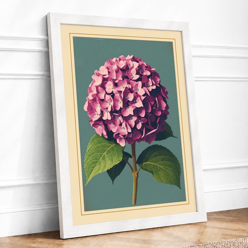 Hydrangea Study Botanical - Framed Print, A3 - 42.0 x 29.7 cm, White