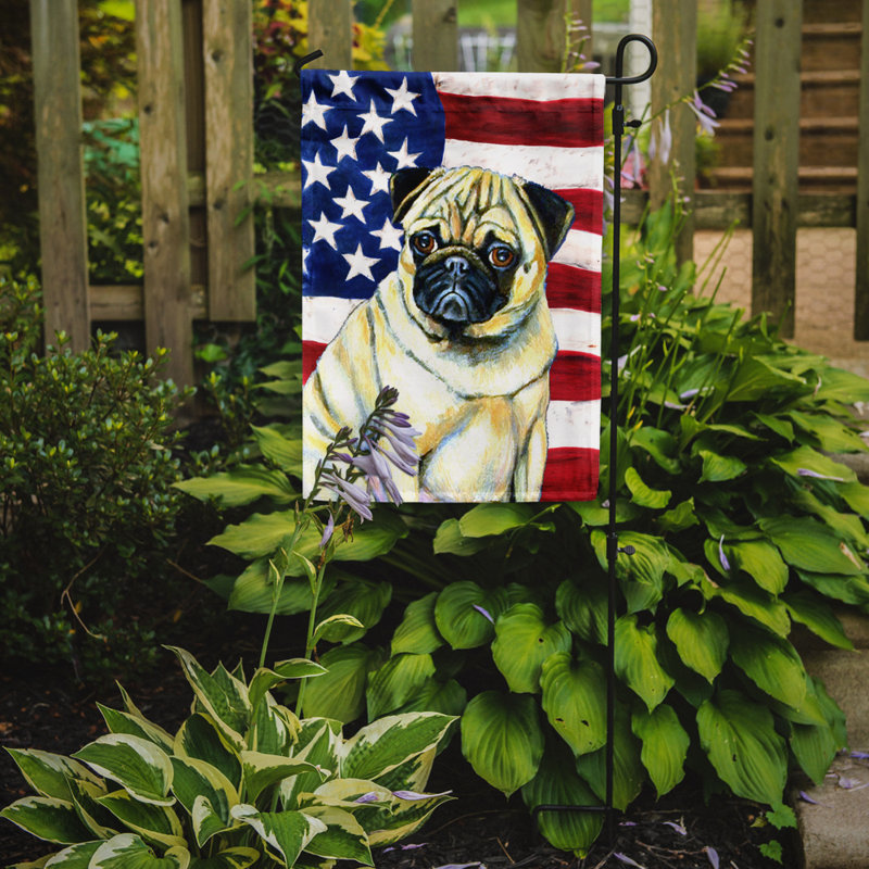 2 côtés en polyester de 2 côtés american drapeau de jardin, Rat terrier