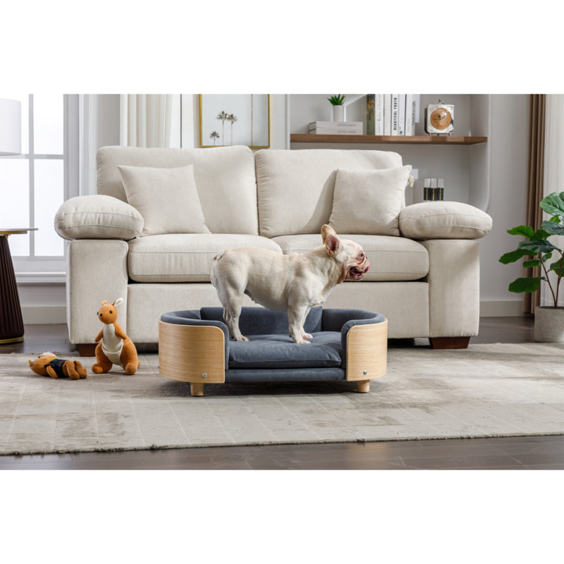 Lit pour chien surélevé de style scandinave avec pattes en bois massif et dossier en bois cintré, coussin en velours, taille moyenne, gris foncé