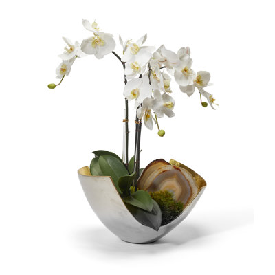Faux Silk Orchid Arrangement in Vase