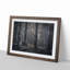 Pine Tree Forest - Picture Frame Graphic Art Print-55731971-55731972