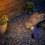 Solar Powered Integrated LED Pathway Light