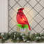 Veilleuse 5,5 po Cardinal