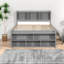 Lit double compact avec rangement en bois de pin, design gris moderne pour la maison