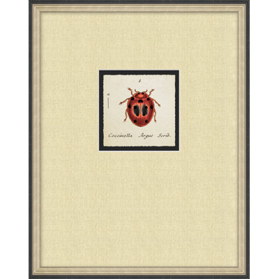 Lady Bug 2 Print