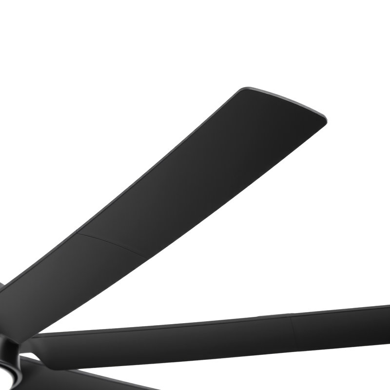  Ventilateur de plafond moderne noir 66 "avec lumière et télécommande Cissline pour le salon, la chambre à coucher et les grands espaces intérieurs