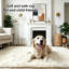 Deep Pile Fluffy Shaggy Area Rug for Indoor/Outdoor Use cream white-24117586