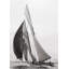 Colonia - Wrapped Canvas Art Prints-1467018199