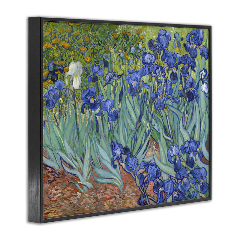 «Classic Van Gogh Irises», art giclée par one1000paintings, H 11 po x l 14 po, Giclée encadrée noir minuit