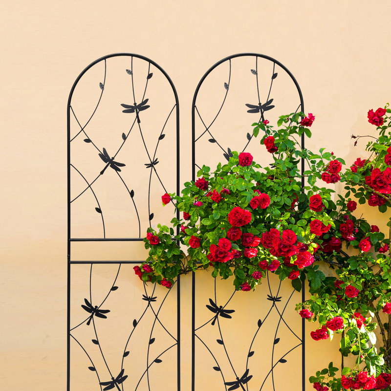 4 treillis en métal 71 po x 19,7 po pour jardin, support de fleurs extérieur antirouille, noir, facile à assembler, ensemble de 4 plantes de jardin 71 po x 19,7 po, ensemble, assembler à l'extérieur