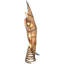 10-Light 8 Point Capiz Star Tree Topper