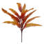 Andwele Arrangement