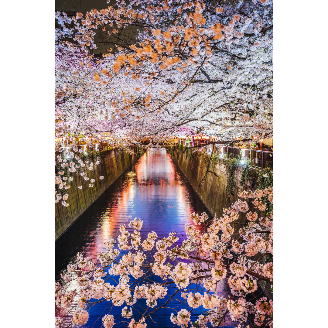 Kirschblüten Saison in Tokio, Japan von FilippoBacci - Kunstdrucke ohne Rahmen auf Leinwand