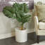 Arbre artificiel 36 po en pot Monstera