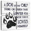 Amour inconditionnel de Tergel Dog