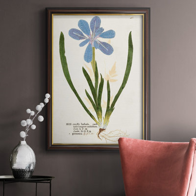 Toile encadrée de qualité supérieure avec impression nature de Botanicals