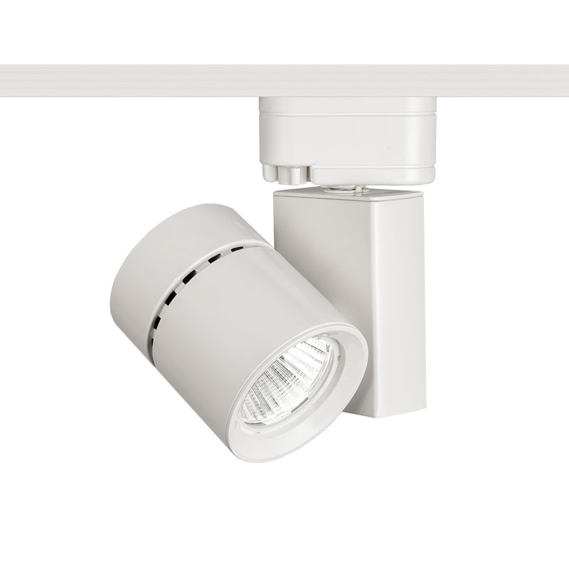 Exterminator II Track Head, White, 3000K/90, Flood