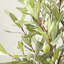 Olive artificielle 29,5 po