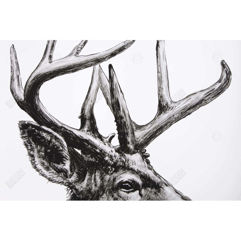 Roe Deer Plume - Toile de faune de salon pour la décoration intérieure