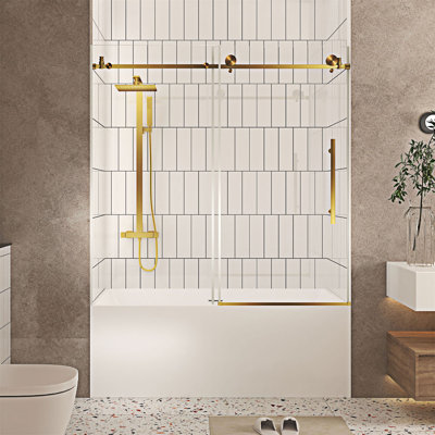 Frameless Shower Door