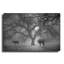 "Morning Calm II BW" par Debra Van Swearingen-168847565