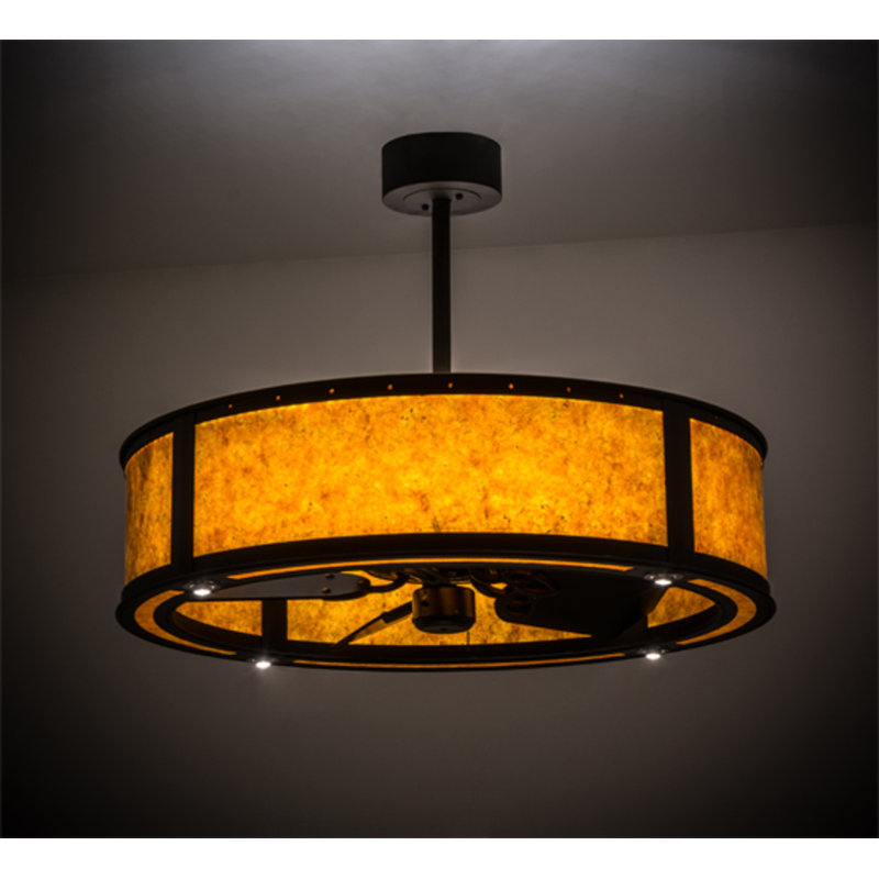 Connaire 30'' Ceiling Fan with LED Lights