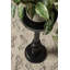 Table de bout à piédestal en bois massif Anike-225829026
