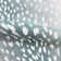 Wiley Fabric