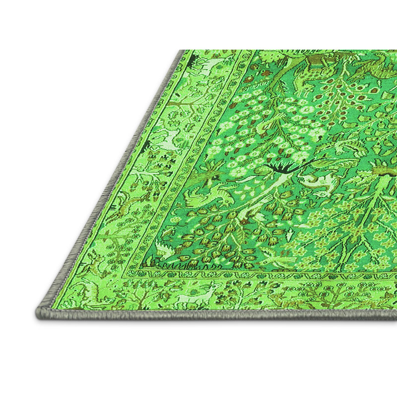 Washable Indoor Rug, Rectangle 4' x 6'